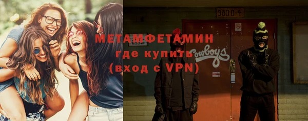гидра Няндома