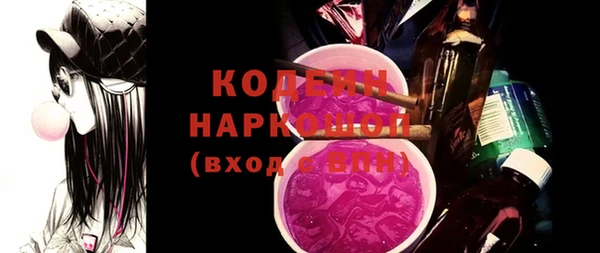 хмурый Алзамай