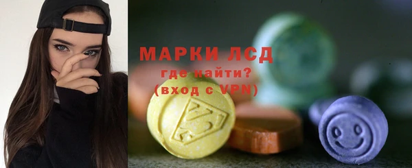 хмурый Алзамай