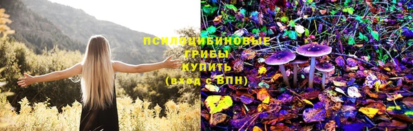 хмурый Алзамай