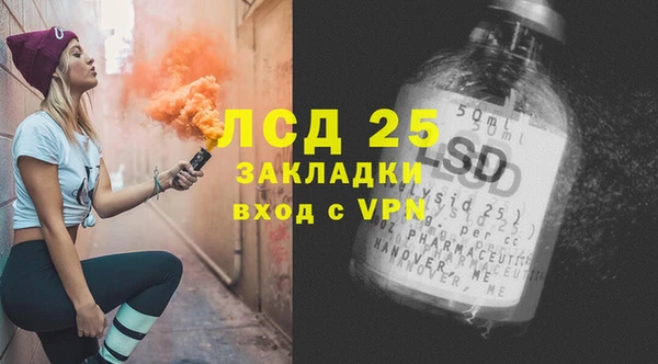 хмурый Алзамай