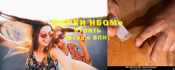 гидра Няндома