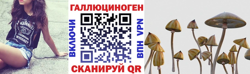 цены наркотик  мега как зайти  Псилоцибиновые грибы ЛСД  Андреаполь 