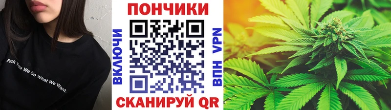 Марихуана сатива  Андреаполь 